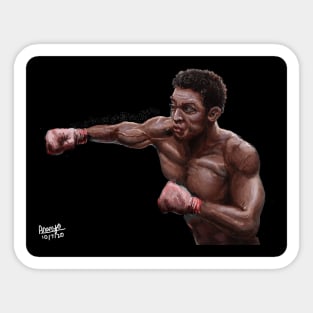 Boxer Punching Sticker